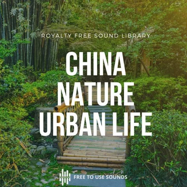 Nature Sounds | Explore Nature Sounds Today — Free to Use Sounds